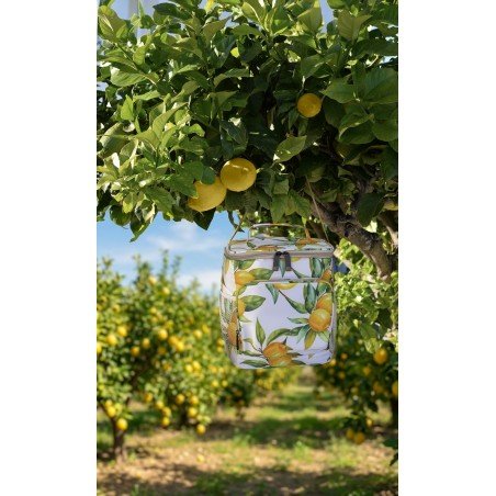 Glacière 12L Lemon Pie